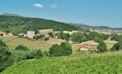Imagen de VALLE DE VALDEBEZANA